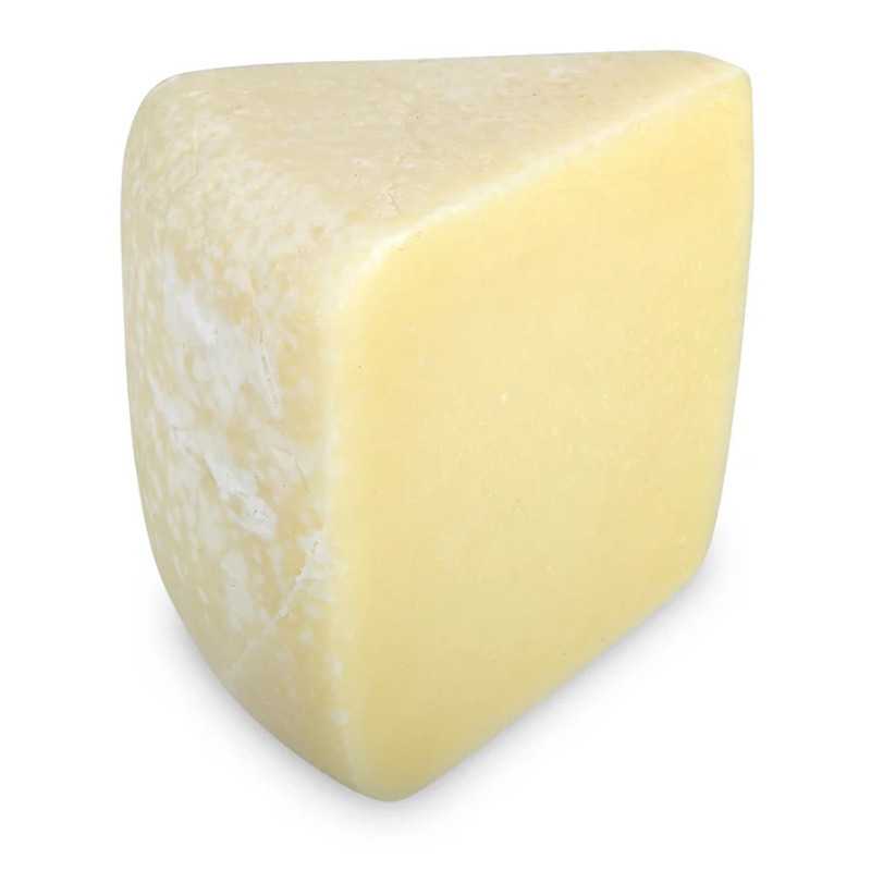 Fresh pecorino cheese